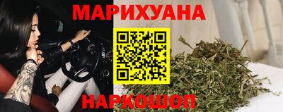 гидра Будённовск