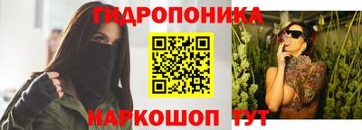 гидра Будённовск
