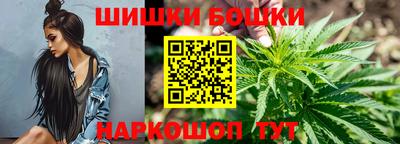 гидра Будённовск