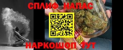 гидра Будённовск