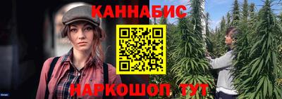 гидра Будённовск