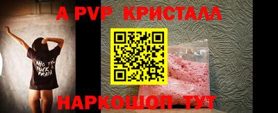 гидра Будённовск
